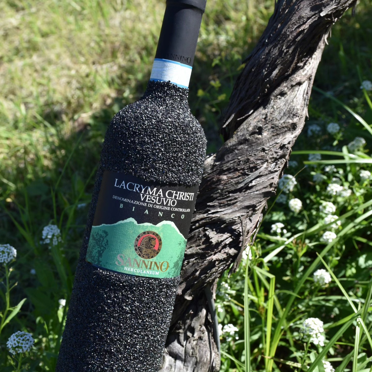 Azienda Vinicola Sannino