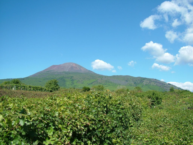 image-47