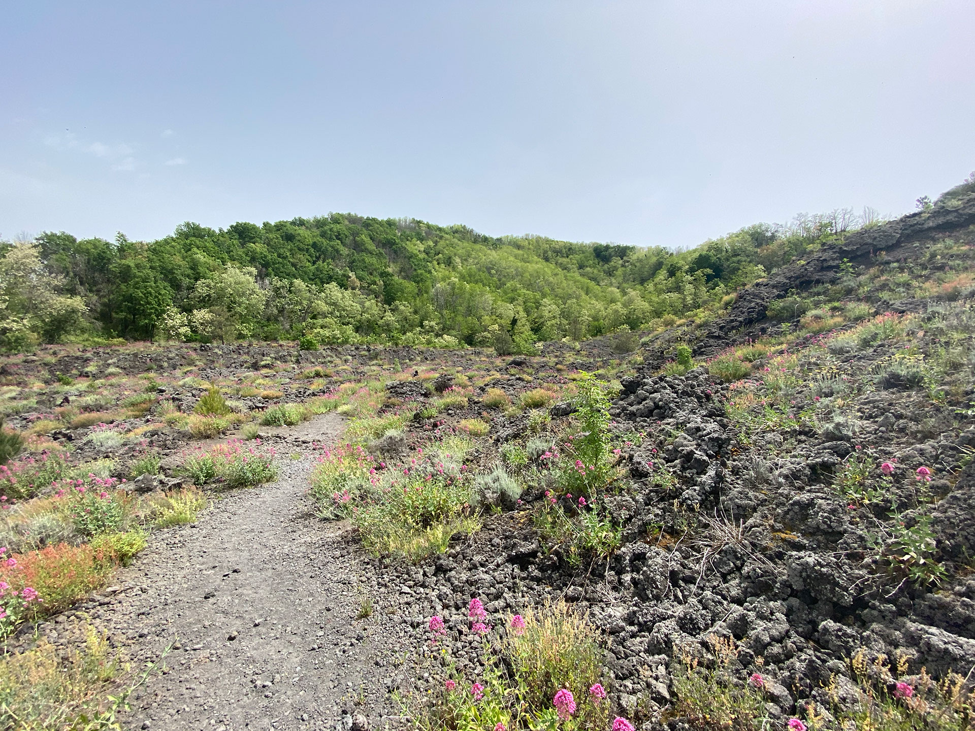 Parco Nazionale del Vesuvio | Sentiero N. 9 – Il Fiume di Lava