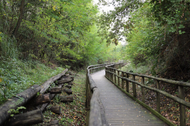 569340752_1124755643175941_5742363209163443693_n