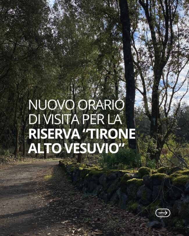 571244862_1131604559157716_1199690158383326762_n