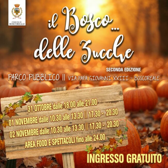 564278372_17845600581588508_7469076079080364579_n