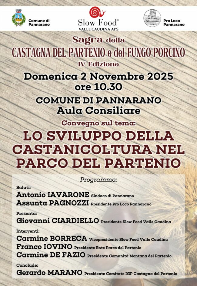 571474215_1195502969214180_4844425346044484289_n