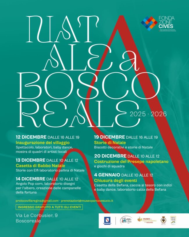 596336816_1161218052864668_456042934119326219_n