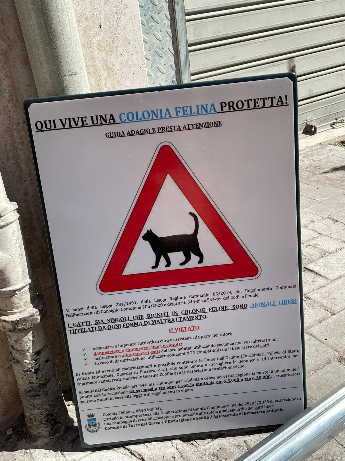 “iVesuvio.25 – Eventi – Persone – Territori”.