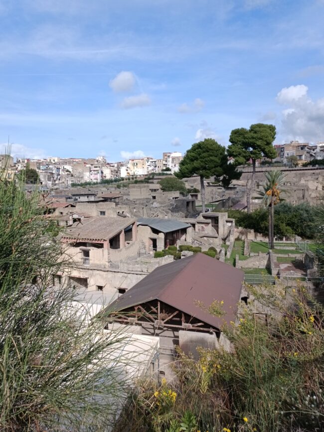 574322285_1265091052312063_4338569457096496756_n