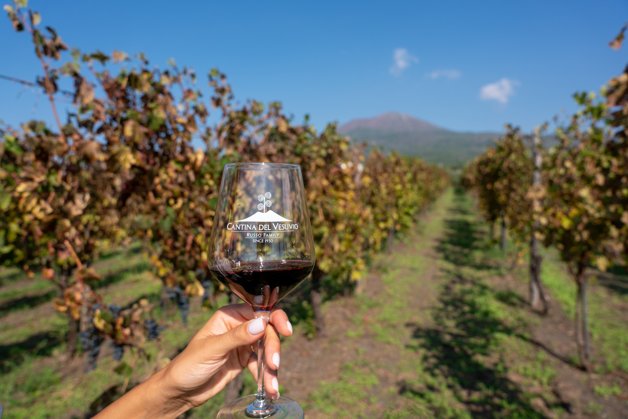 Cantina del Vesuvio Winery