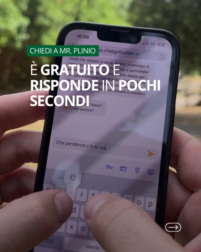 632735958_1213532197631618_5761683943416251804_n