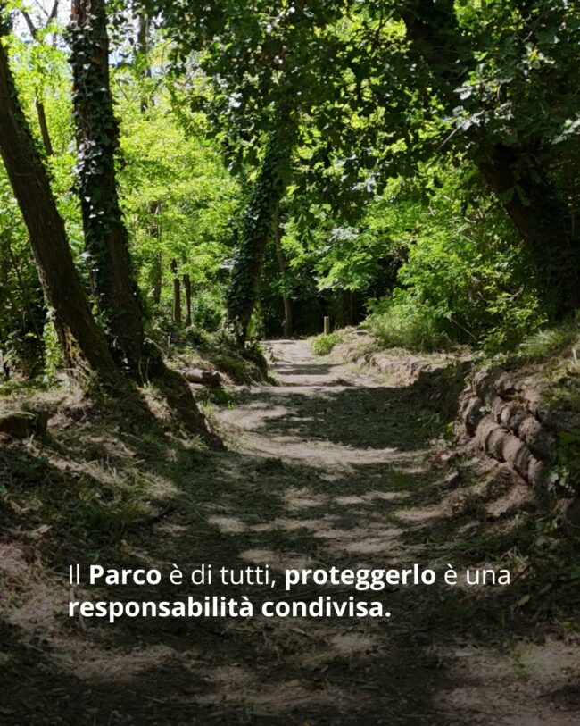 661370254_1252856387032532_413045522252921326_n