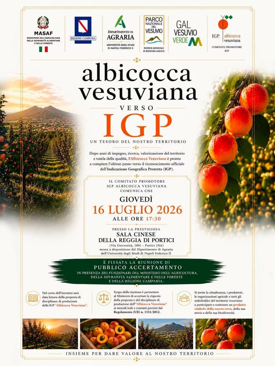 (i) #iVesuvio | #Opportunità