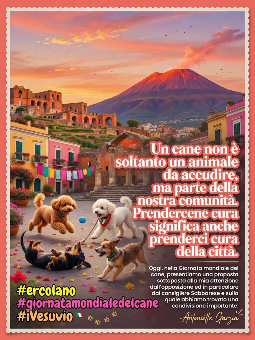 Hanno detto…